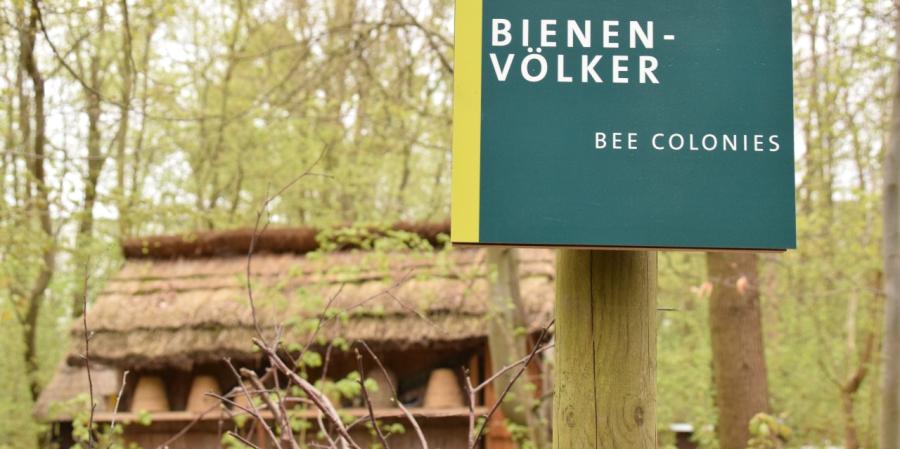 Wegweiser zur Wissensstation „Biene“ im Museumsdorf Düppel