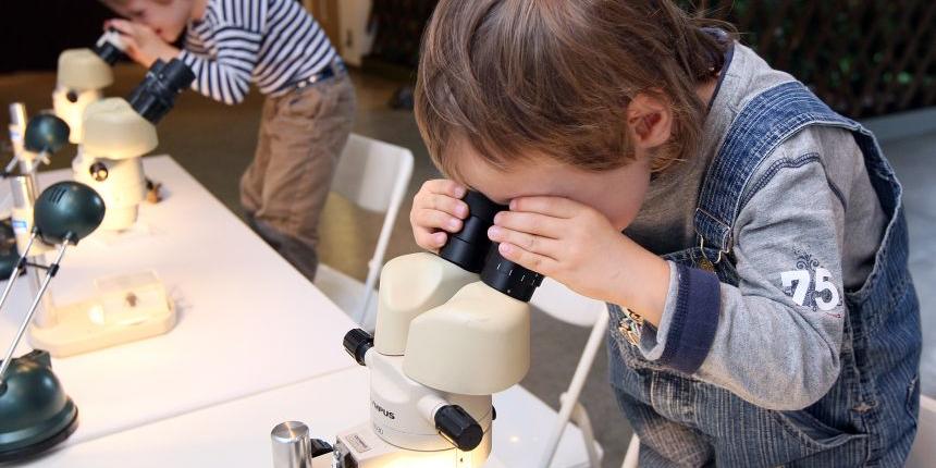Foto von mikroskopierenden Kindern