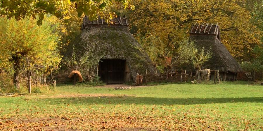 Hütten auf herbstlicher Wiese