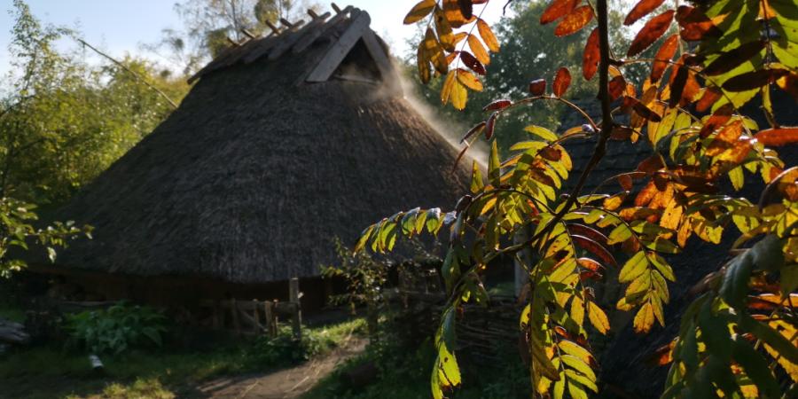 Reetgedeckte Hütte im Museumsdorf in herbstlicher Atmosphäre