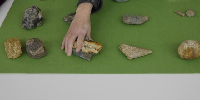 Ein Kind klassifiziert die verschiedenen Steinarten aus der Eiszeit.