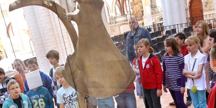 Rippe und Schulterblatt eines Riesen in einer Vitrine in der Nikolaikirche © Stadtmuseum Berlin | Foto: Michael Setzpfandt