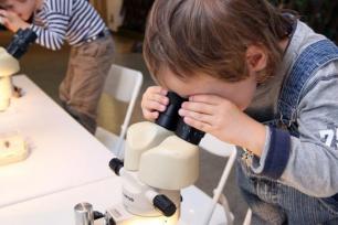Kinder am Mikroskop © Stiftung Stadtmuseum Berlin | Foto: Michael Setzpfandt