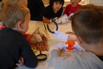 Kinder erklären sich gegenseitig die Hinweise die Objekte bereithalten.