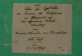Fragment: "Ueber die Vegetation im Inneren des Erdkörpers", Goethe gewidmet, 1794 © Stadtmuseum Berlin 