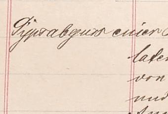 Eintragung im Inventarbuch des Märkischen Museum vom 3. Dezember 1875 durch Kustos Buchholz