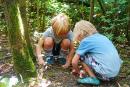Kinder auf Spurensuche im Wald